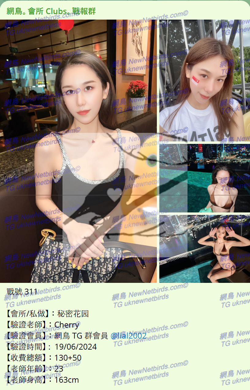 戰號 311 1.png